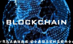 核心钱包区块链数据:安全存储与实时监控的全
