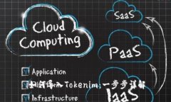 i如何导入Tokenim：一步步详解