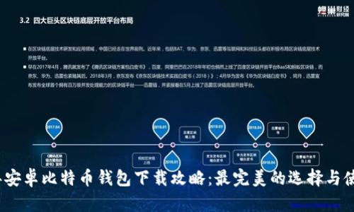 2023年安卓比特币钱包下载攻略:最完美的选择与使用技巧