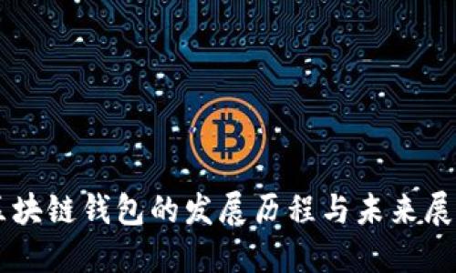 区块链钱包的发展历程与未来展望