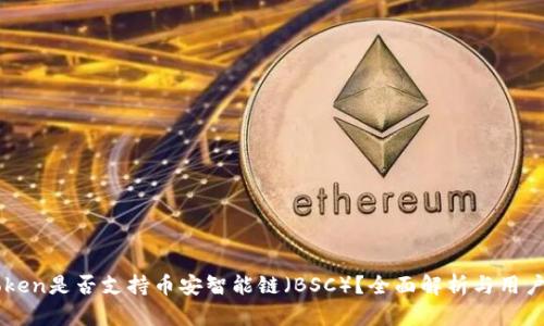 imToken是否支持币安智能链(BSC)?全面解析与用户指南