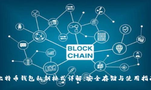 比特币钱包私钥格式详解:安全存储与使用指南