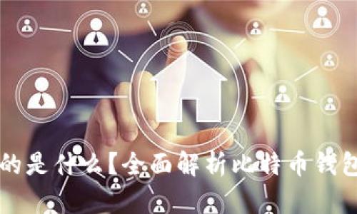 比特币钱包存的是什么?全面解析比特币钱包的功能与类型