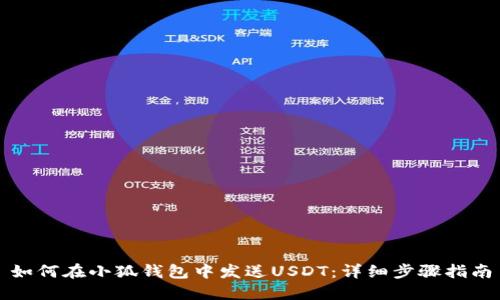 如何在小狐钱包中发送USDT:详细步骤指南