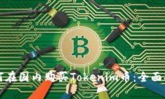 如何在国内购买Tokenim币:全面指南