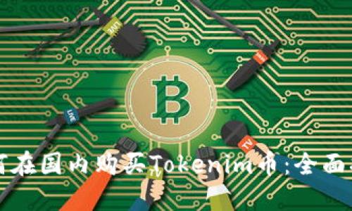 如何在国内购买Tokenim币:全面指南