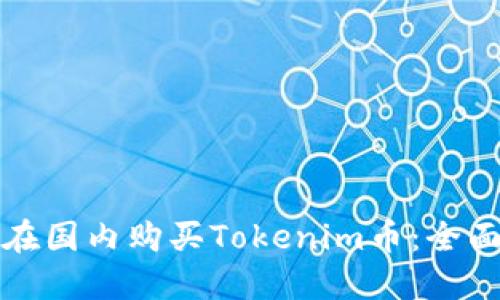 如何在国内购买Tokenim币:全面指南