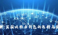 全面解析：英国比特币钱包的选择与使用指南