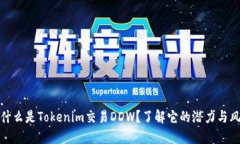 是什么是Tokenim交易DDW？了解它的潜力与风险