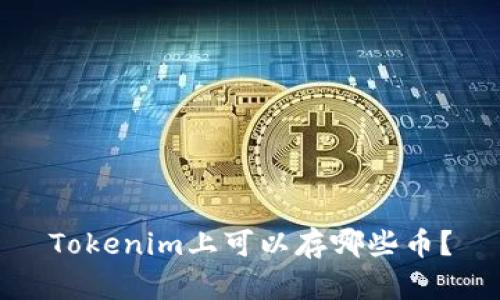 Tokenim上可以存哪些币？