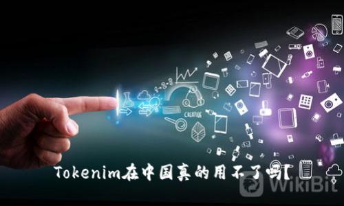 Tokenim在中国真的用不了吗？