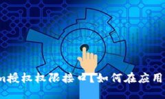 什么是Tokenim授权权限接口？如何在应用中正确使