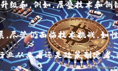 区块链公共基础是一个涵盖了多种技术、标准、协议与应用的概念，主要用于描述支持区块链生态系统运营的核心组件和基础设施。使用区块链技术的应用通常需要在这一基础之上建立，从而实现去中心化的特性、增强的安全性和透明性等优势。

什么是区块链公共基础?
区块链公共基础实际上是一个集成了多种技术与框架的整体，旨在推动区块链技术的发展与应用。这些基础设施一般包括公共链、私有链、联盟链等不同类型的区块链，根据其去中心化的程度以及适用场景的不同进行分类。 

区块链公共基础的组成部分
通常来说，区块链公共基础的组成部分包括：
ul
  li区块链网络协议：这包括共识机制、数据结构等，确保网络的正常运行。/li
  li智能合约：通过代码自动执行协议，减少人为干预和错误的可能性。/li
  li加密算法：提供数据的安全性和隐私保护。/li
  li去中心化存储：保证数据在多个节点中存储，防止单点故障。/li
  li身份认证机制：确保参与者的身份是安全和可信的。/li
/ul

区块链公共基础如何实现价值?
区块链技术的核心价值在于其能够提供去中心化、透明、安全和不可篡改的特性。这些特性无疑是基于strong区块链公共基础/strong所提供的有效支持。通过基础设施的搭建，不同的应用场景可以利用区块链技术来提高效率，降低成本。

举个例子，金融行业利用区块链技术可以快速进行跨境支付，而不需要通过传统金融机构。相较于传统方式，基于区块链的支付方式不仅速度快，而且成本低。此外，数据的透明性还可以有效降低欺诈行为的发生。

区块链公共基础与行业应用
在多个行业中，区块链公共基础的应用场景不断扩大。例如，在供应链管理中，企业可以通过区块链追踪产品的每一个环节，从生产到运输，确保信息的透明与可信。在医疗行业，患者的病历信息可以通过区块链进行安全存储，并能在需要时被授权的医疗机构访问，大幅提升医疗服务的效率。

区块链公共基础的未来发展趋势
随着技术的不断进步，区块链公共基础的发展将愈加成熟。越来越多的公司和组织开始意识到区块链的重要性，正逐步将其整合到现有业务中。这一趋势将促使更多的创新型企业出现，推动不同领域的健康竞争。

未来，区块链技术可能在多个方面得到进一步深化，例如提升性能、降低能耗、提高数据处理速度等。这些都依赖于基础设施的不断升级和。例如，层叠技术和侧链的引入将能够带来更好的扩展性，使得区块链在高并发请求下表现卓越。

总结
综上所述，区块链公共基础构成了区块链技术得以广泛应用的核心要素，通过提供高效、安全的基础设施，促进各行业的创新和发展。尽管仍面临技术挑战，如性能、可扩展性和法规问题，但随着不断研究与应用，区块链的未来依旧充满希望。

在这个快速变化的数字时代，理解并掌握区块链公共基础的概念，将为我们的职业和生活带来新的机遇。无论是作为技术工作者、行业从业者还是政策制定者，积极参与并推动这一基础设施的发展，都是我们应尽的责任与义务。