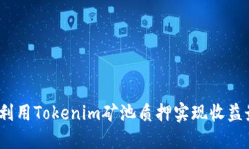 : 如何利用Tokenim矿池质押实现收益最大化？