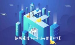 如何通过Tokenim借贷FIL？