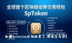 如果tokenim私钥泄露了，我该怎么办？