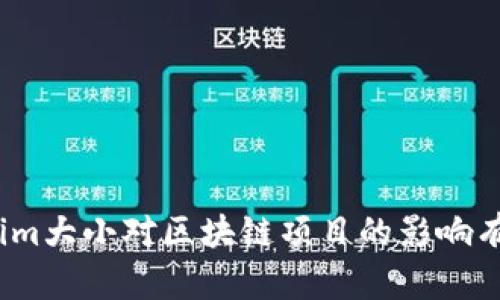 Tokenim大小对区块链项目的影响有多大？