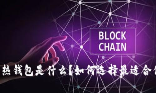 区块链冷热钱包是什么？如何选择最适合你的钱包？