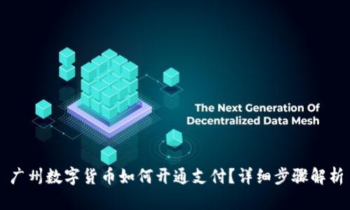 广州数字货币如何开通支付？详细步骤解析