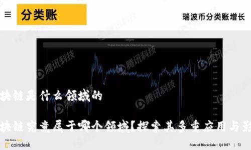 区块链是什么领域的

区块链究竟属于哪个领域？探索其多重应用与影响