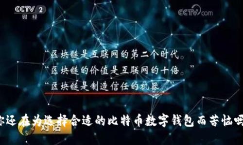 你还在为选择合适的比特币数字钱包而苦恼吗？