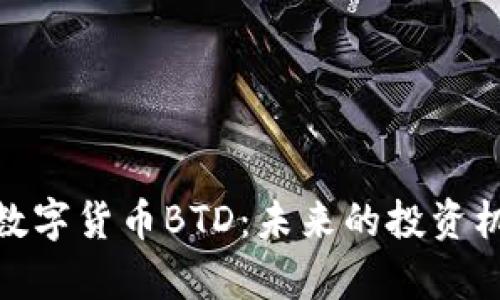 全面解析数字货币BTD：未来的投资机会与风险