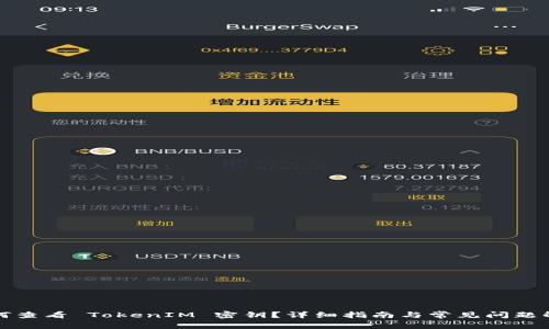 如何查看 TokenIM 密钥？详细指南与常见问题解答