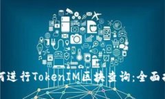 如何进行TokenIM区块查询：全面指南