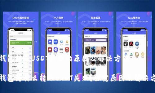 冷钱包转账USDT失败的原因及解决方法

冷钱包为什么转账USDT失败？探究原因及解决方案