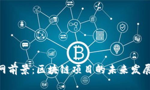 Tokenim官网前景：区块链项目的未来发展与潜力分析