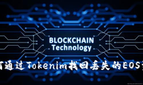 如何通过Tokenim找回丢失的EOS资产