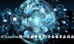 从Tokenim转入区块链世界：全面解析和指南