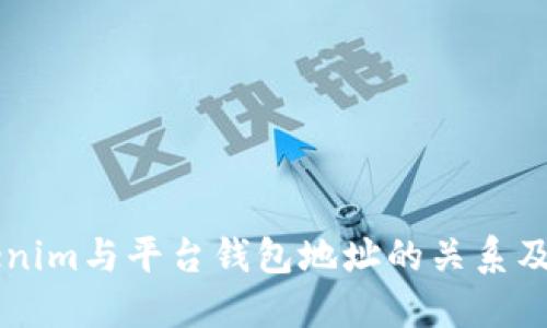 了解Tokenim与平台钱包地址的关系及使用技巧