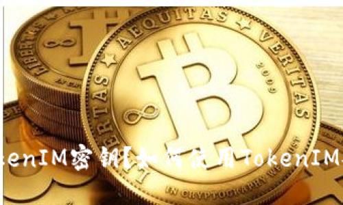什么是TokenIM密钥？如何使用TokenIM安全交易？