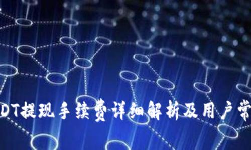 TokenIMUSDT提现手续费详细解析及用户常见问题解答