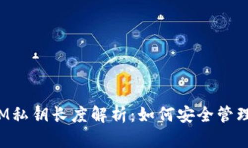 TokenIM私钥长度解析：如何安全管理与存储